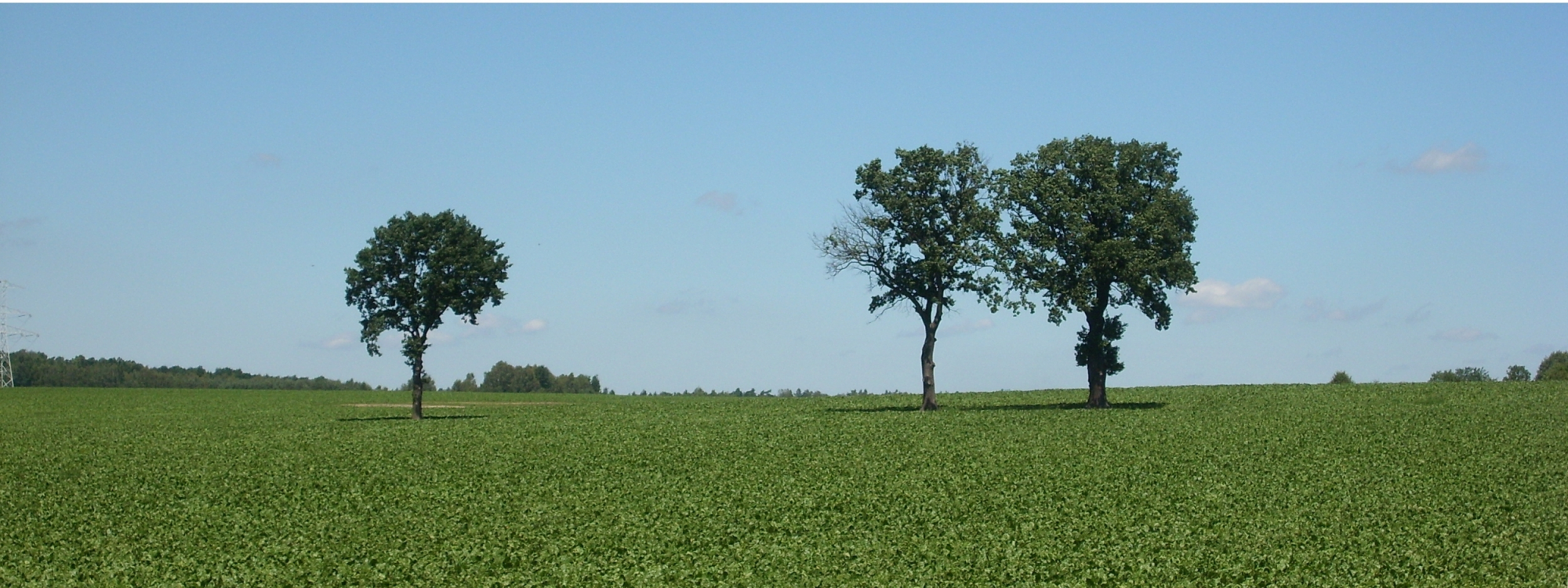 Park Krajobrazowy Cysterskie Kompozycje Krajobrazowe Rud Wielkich